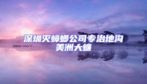 深圳滅蟑螂公司專治地溝美洲大蠊
