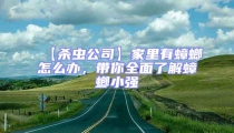 【殺蟲公司】家里有蟑螂怎么辦,帶你全面了解蟑螂小強