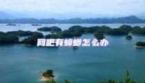 網吧有蟑螂怎么辦