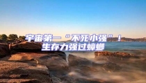 宇宙第一“不死小強”!生存力強過蟑螂