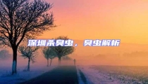 深圳殺臭蟲,臭蟲解析