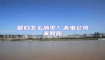 鼠婦怎么消滅?殺蟲公司來教你