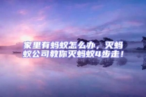 家里有螞蟻怎么辦，滅螞蟻公司教你滅螞蟻4步走！