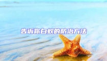 告訴你白蟻的防治方法