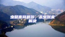 蟲鼠害問題多,殺蟲劑來解決