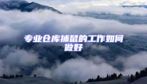 專業(yè)倉庫捕鼠的工作如何做好