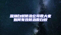 深圳白蟻防治公司教大家如何有效防治散白蟻