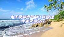 電子滅蟑螂器的工作原理-專業滅蟑公司