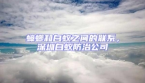 蟑螂和白蟻之間的聯系,深圳白蟻防治公司