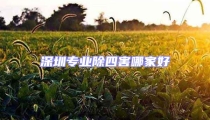 深圳專業(yè)除四害哪家好