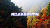 餐飲消殺蟑螂好方法