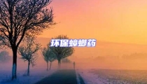 環保蟑螂藥