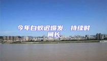 今年白蟻遲爆發,持續時間長