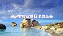 鄰居家有蟑螂我該怎么辦?