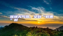 深圳天氣熱,又到“蟻患”時