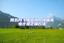 四五月飛蟲出沒，環保殺蟲才是正確方法