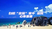 白蟻“定居”家中 居民心事重重