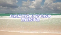 白雞從菌這是屬于白蟻傘菌屬的傘菌