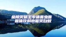 金陵滅鼠王專請害蟲客 固體飲料也能滅白蟻