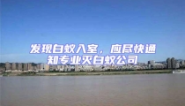 發現白蟻入室,應盡快通知專業滅白蟻公司