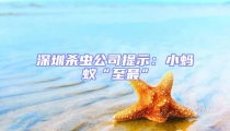 深圳殺蟲公司提示:小螞蟻“至最”