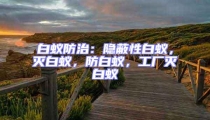 白蟻防治:隱蔽性白蟻,滅白蟻,防白蟻,工廠滅白蟻