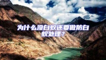 為什么沒白蟻還要做防白蟻處理？