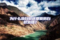 為什么沒(méi)白蟻還要做防白蟻處理？