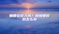 蟑螂會咬人嗎?被蟑螂咬到怎么辦