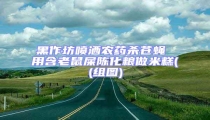 黑作坊噴灑農藥殺蒼蠅 用含老鼠屎陳化糧做米糕((組圖)