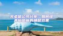 滅老鼠公司分享:如何提高粘鼠板的捕鼠效果