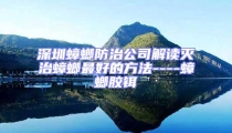 深圳蟑螂防治公司解讀滅治蟑螂最好的方法----蟑螂膠鉺