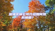 深圳滅蟑公司介紹如何預(yù)防蟑螂?