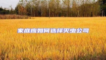 家庭應如何選擇滅蟲公司