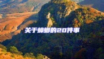 關于蟑螂的20件事