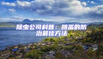 除蟲公司科普:跳蚤的防治最佳方法