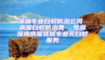 深圳專業白蟻防治公司 房屋白蟻防治費  羅湖深圳房屋裝修專業滅白蟻服務