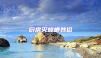 廚房滅蟑螂妙招