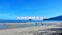 大水蟻如何滅治?