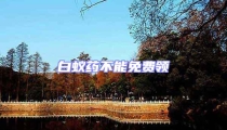 白蟻藥不能免費領