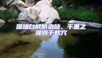 深圳白蟻防治站,千里之堤毀于蟻穴