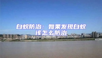 白蟻防治:如果發(fā)現白蟻該怎么防治
