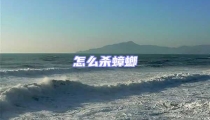 怎么殺蟑螂
