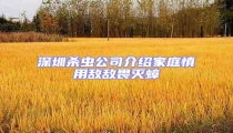 深圳殺蟲公司介紹家庭慎用敵敵畏滅蟑