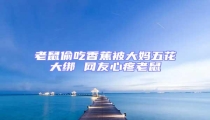 老鼠偷吃香蕉被大媽五花大綁 網友心疼老鼠