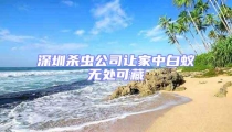 深圳殺蟲公司讓家中白蟻無處可藏
