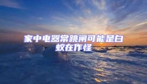 家中電器常跳閘可能是白蟻在作怪