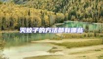 滅蚊子的方法都有哪些