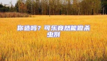 你造嗎?可樂竟然能做殺蟲劑
