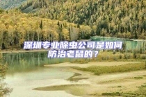 深圳專業除蟲公司是如何防治老鼠的？